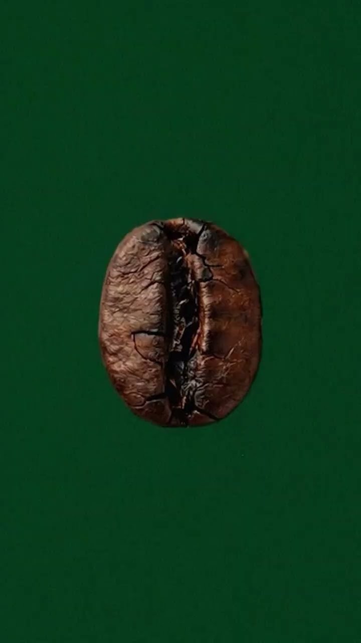 A single roasted coffee bean centred on a deep green background